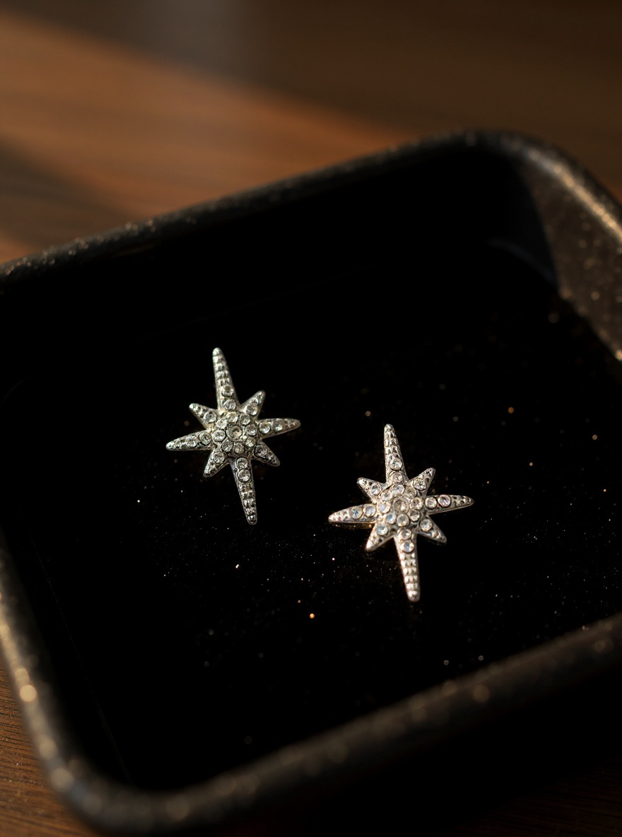 Boucle d'oreille l'éclat de l'élégance argent