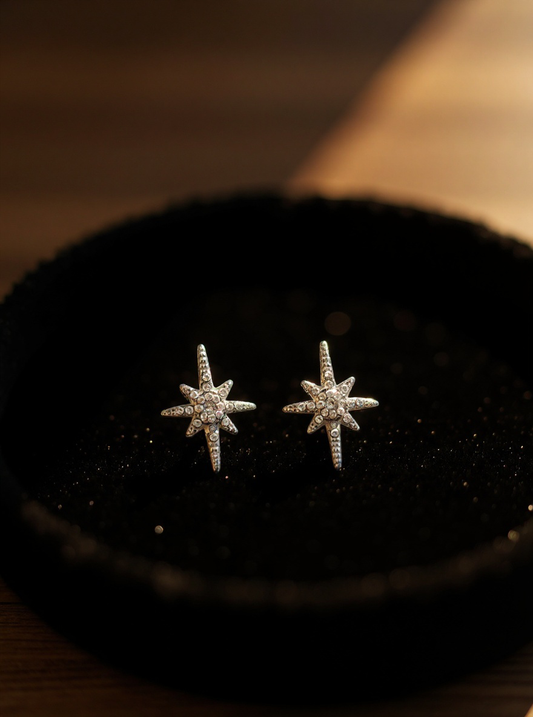 Boucle d'oreille l'éclat de l'élégance argent