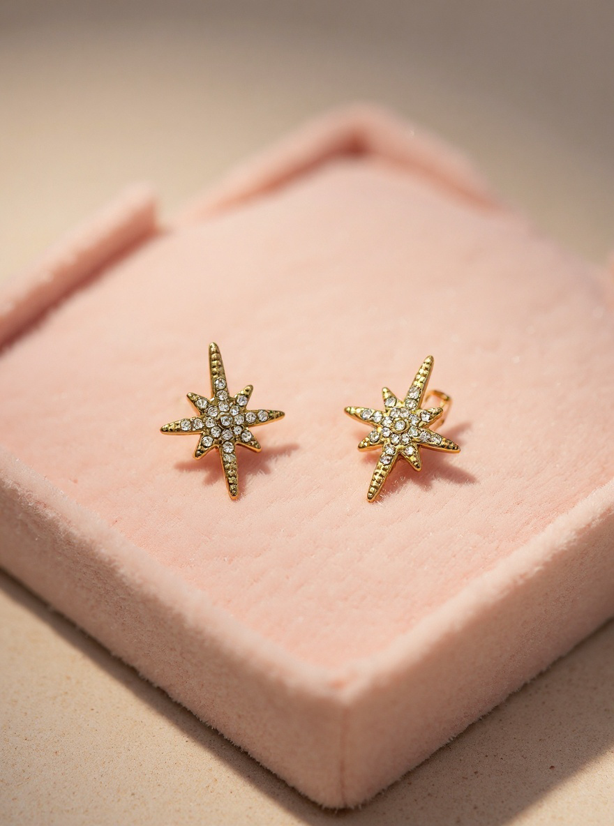 Boucle d'oreille l'éclat de l'élégance or