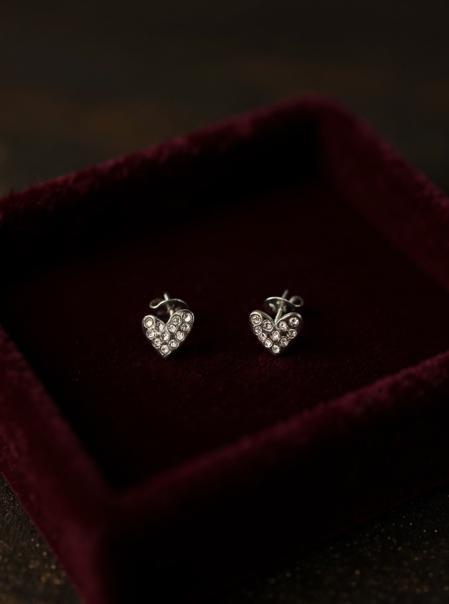 Boucle d'oreille lueur de vie argent