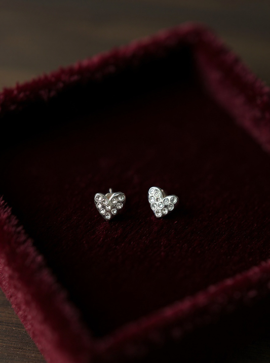 Boucle d'oreille lueur de vie argent