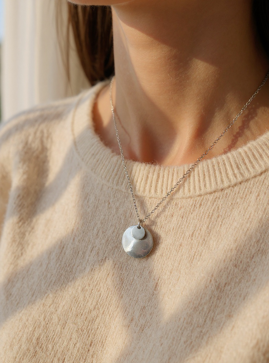 Collier l'éclat attirant argent