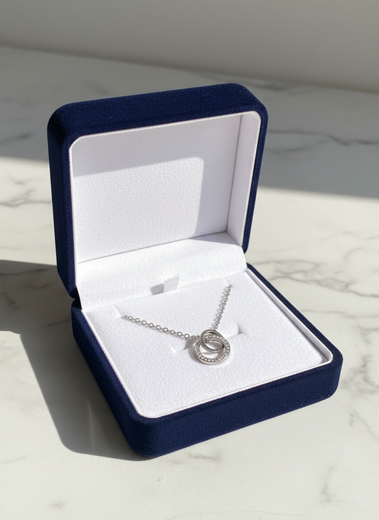 Collier les anneaux d'argent