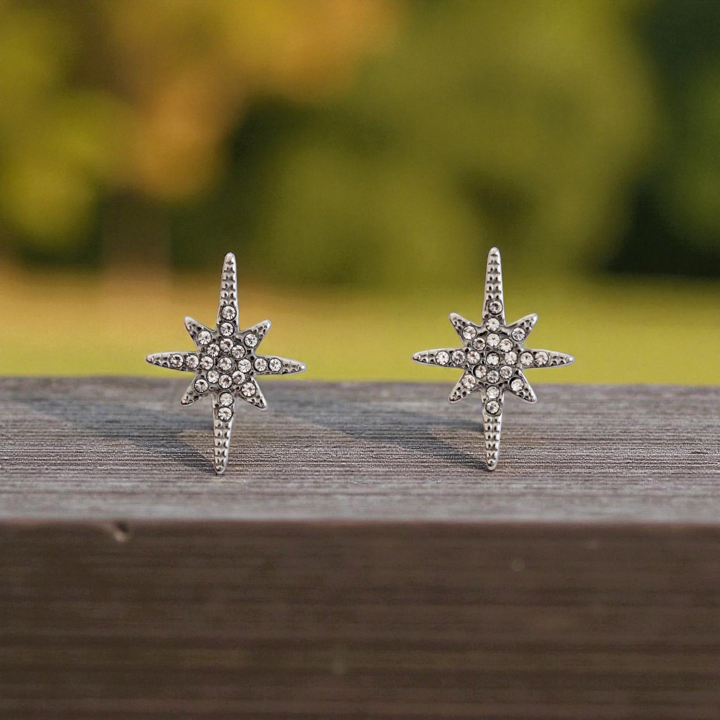 Boucle d'oreille l'éclat de l'élégance argent