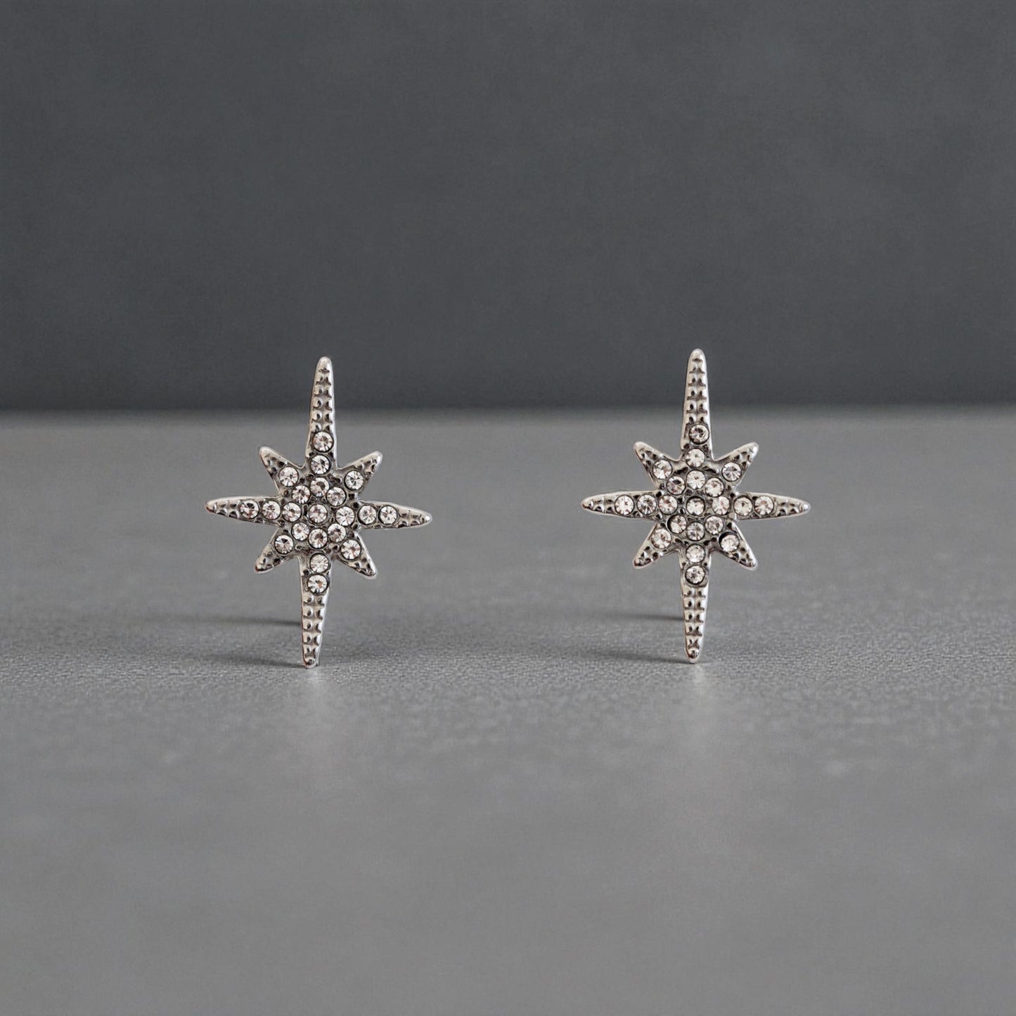 Boucle d'oreille l'éclat de l'élégance argent