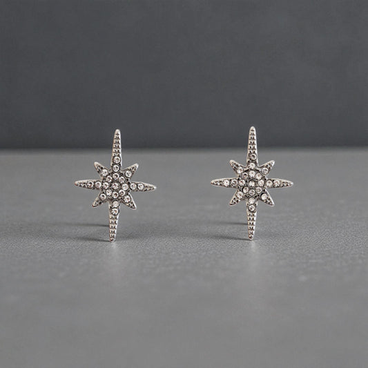 Boucle d'oreille l'éclat de l'élégance argent